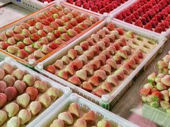 -长寿参鸡汤(朝韩风情街店)