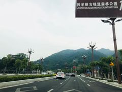 -羚羊峡古栈道森林公园