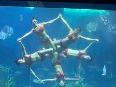 -泉城欧乐堡梦幻世界