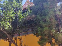 -挂甲禅寺