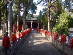 -关林