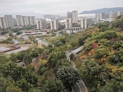 -飞凤山奥体公园