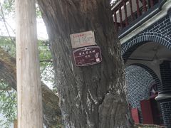 -遵义会议纪念馆