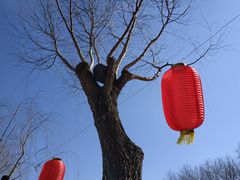 -中国农业博物馆