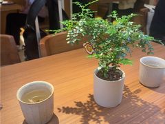 -CURRY YA 熟成咖哩專門店(深圳湾万象城店)