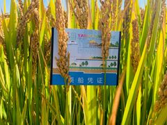 -小陆莲花蟹园农家乐(莲花岛店)