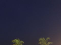 -渔家火锅·海鲜自助餐·演艺(亚龙湾天域酒店)