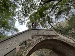 -宁波市保国寺古建筑博物馆