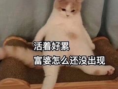 -阿捡忭京炸鸡(韭菜园总店)
