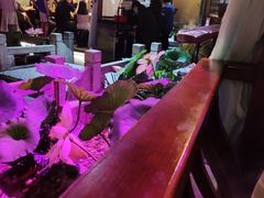 -韵秋荷(宝山龙湖天街店)