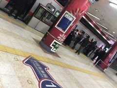 -大望路(地铁站)