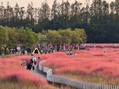 -嘉北郊野公园