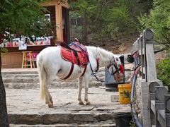-青州市云门山风景区