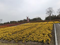-同里国家湿地公园