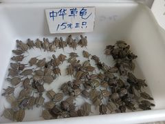-高淳老街