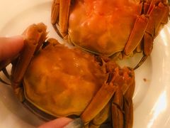 -都会尚膳·海鲜自助餐厅(重庆万豪酒店)
