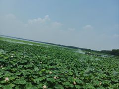 -重元寺香积厨素斋馆