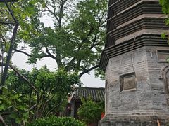 -正阳书局(西四南大街店)