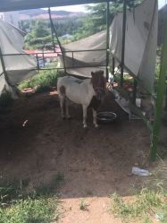 -童心园麦窑·儿童拓展探宝乐园