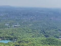 -紫金山山顶公园
