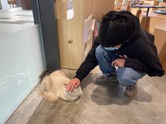 -瞄一喵猫咖(格力海岸店)