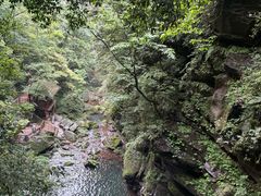 -碧峰峡风景区