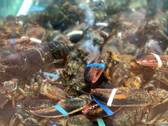 -快乐海鲜城(虎泉街店)