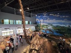 -自贡恐龙博物馆