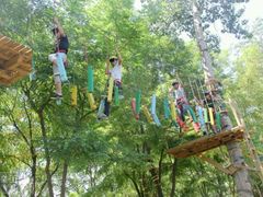 -合肥滨湖国家森林公园