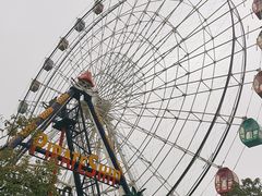 -洋湖国家湿地公园