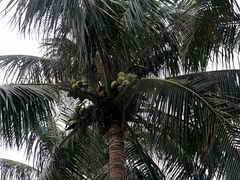 -白沙门生态公园