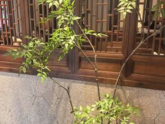 -東大方(瓶窑广场店)