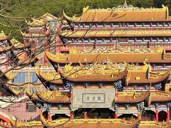 -东莞市大岭山森林公园