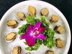 -马帮寨院坝火锅(龙港公园店)