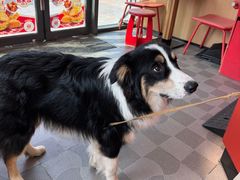 -塔斯汀中国汉堡(青浦宝龙广场店)