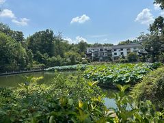 -朴墅(西湖青芝坞店·杭帮菜·家宴.14年的店)