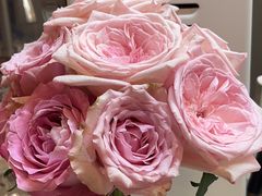 -Again Coffee Roaster(香蜜湖店)