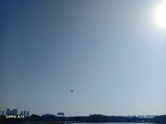 -东湖景区