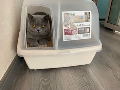 -猫大福·Fortune Cat猫舍(百子湾店)
