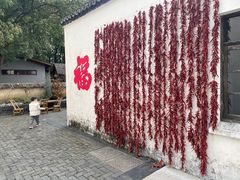 -同里国家湿地公园