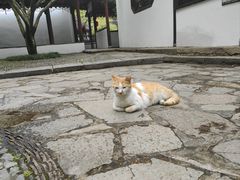 -上海醉白池公园
