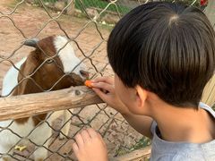 -静之湖湖畔餐厅