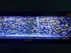 -成都浩海立方海洋公园