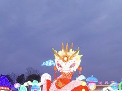 -花博汇(知音花月夜)