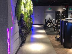 -威尔仕健身·游泳(KING88店)