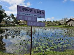 -蔡家宅