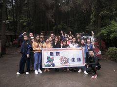 -铁山坪森林公园