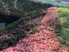 -花之城