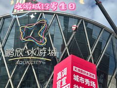 -鹏欣水游城