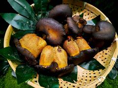 -花菇朵 ll 野生菌锅·精品滇菜(后沙峪店)